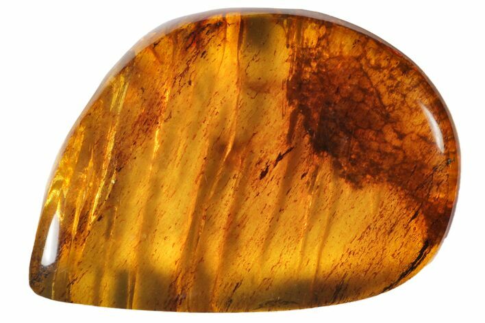 Polished Chiapas Amber ( g) - Mexico #114877